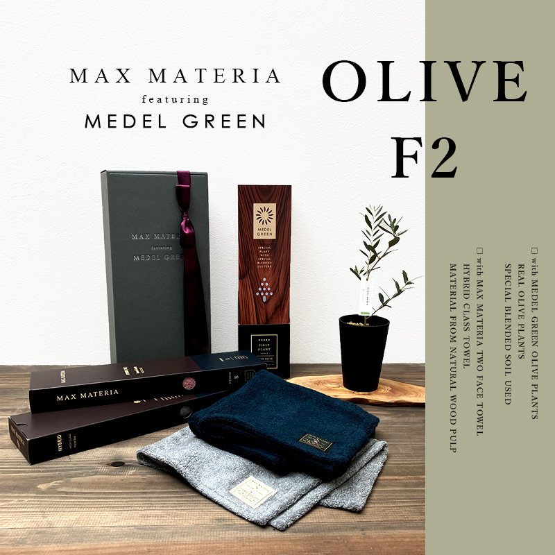 画像1: 【 最新作 】「 繁栄の象徴シリーズ 」 MAX MATERIA feat MEDEL GREEN　◆フェイスタオル２P＆オリーブ１S◆ BRANDセッション ギフトSETBOX入り　オリーブ：底から葉先まで約25〜40cm前後に剪定済